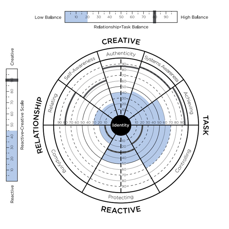 Collective Leadership Assessment